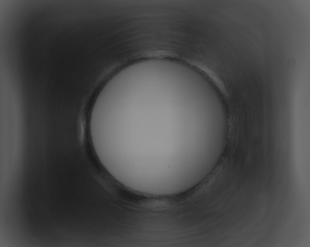 X0000100970110200806241212