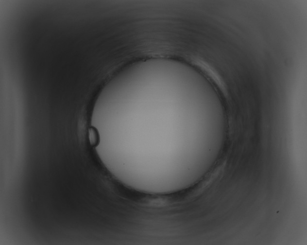 X0000100970113200806241212