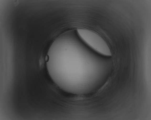 X0000100970124200806241212