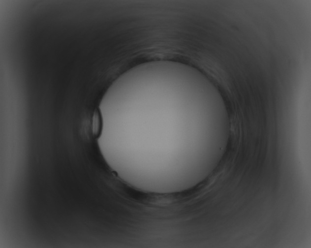 X0000100970127200806241212