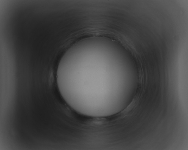 X0000100970128200806241212