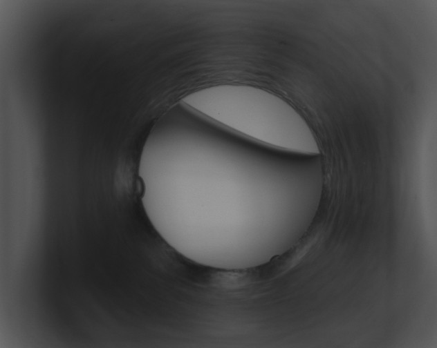 X0000100970139200806241212