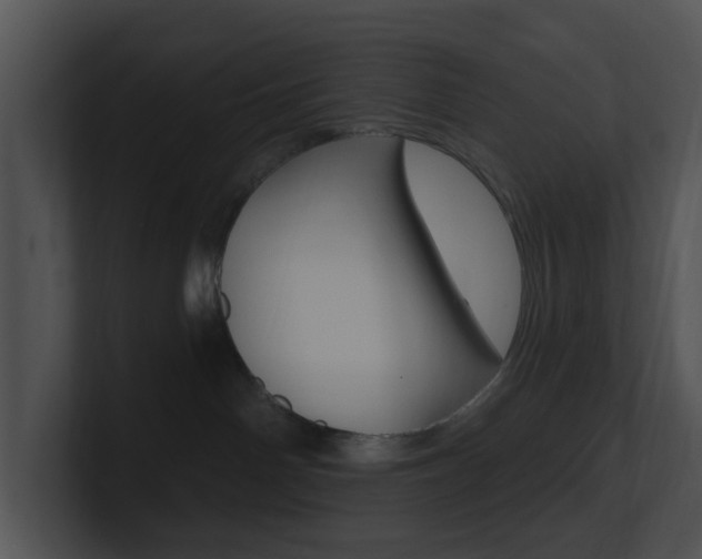 X0000100970142200806241212