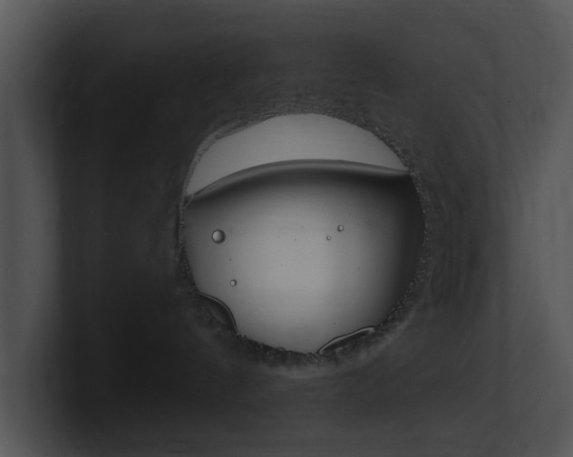 X0000100970144200806241212