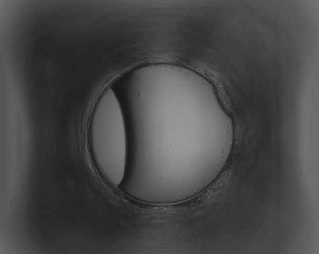 X0000100970145200806241211