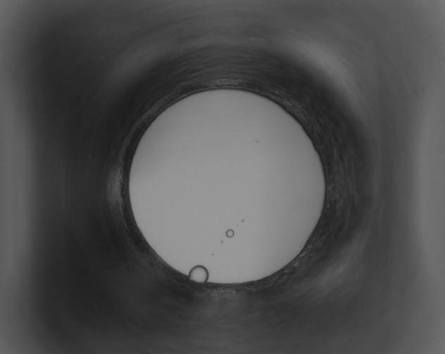 X0000100970146200806241211