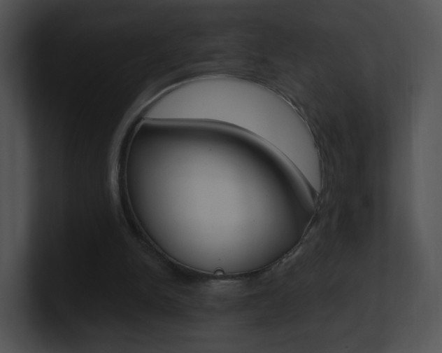 X0000100970150200806241211