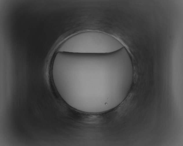 X0000100970151200806241211