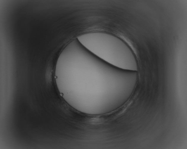 X0000100970153200806241211