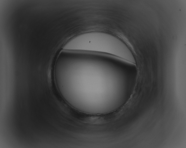 X0000100970154200806241211