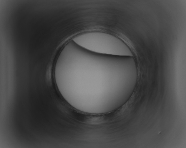 X0000100970155200806241211