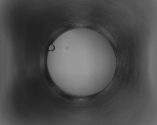 X0000100970163200806241211