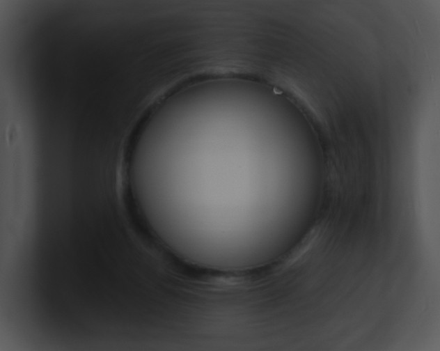 X0000100970164200806241211