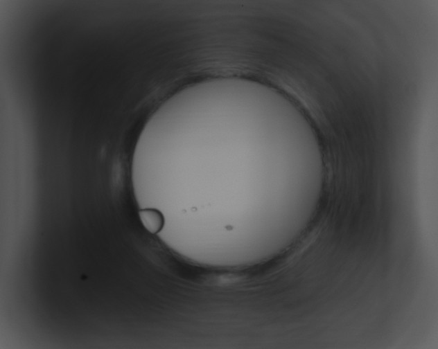 X0000100970165200806241211