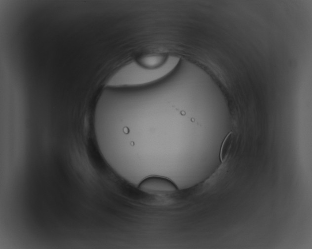 X0000100970166200806241211