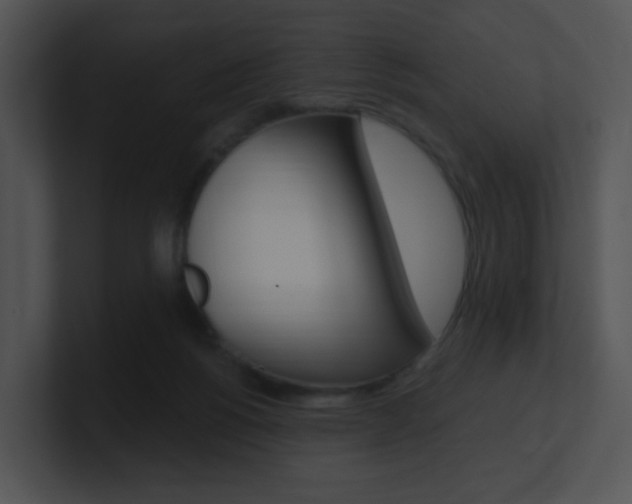 X0000100970168200806241211