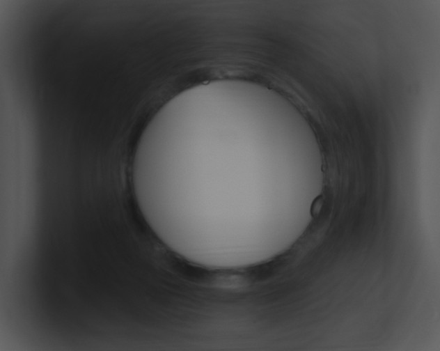 X0000100970169200806241211