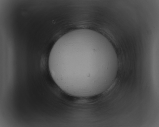 X0000100970171200806241211