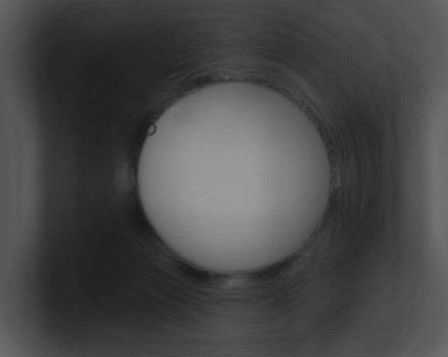 X0000100970173200806241211