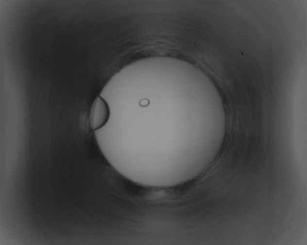 X0000100970177200806241211