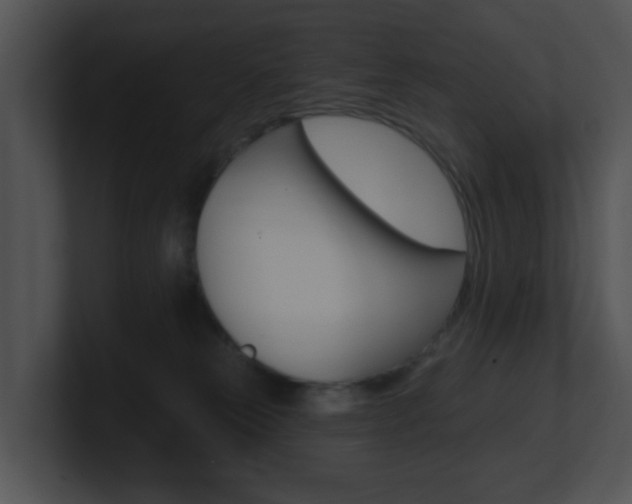 X0000100970181200806241211