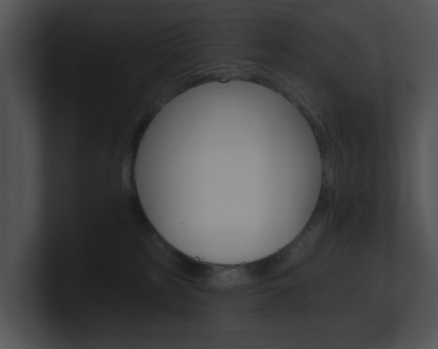 X0000100970185200806241211