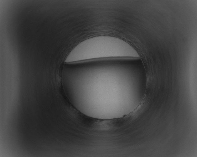 X0000100970186200806241211