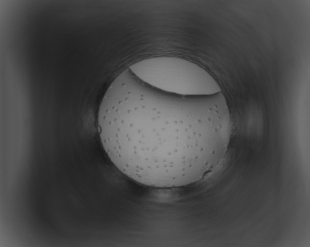 X0000100970187200806241211