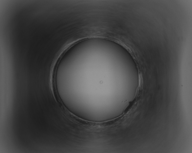 X0000100970195200806241211