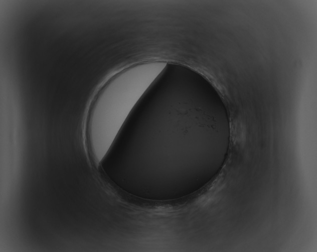 X0000100970196200806241211