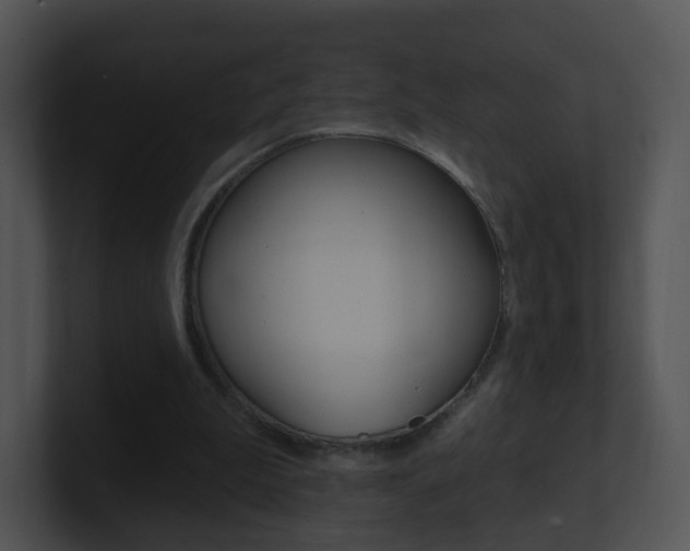 X0000100970199200806241211