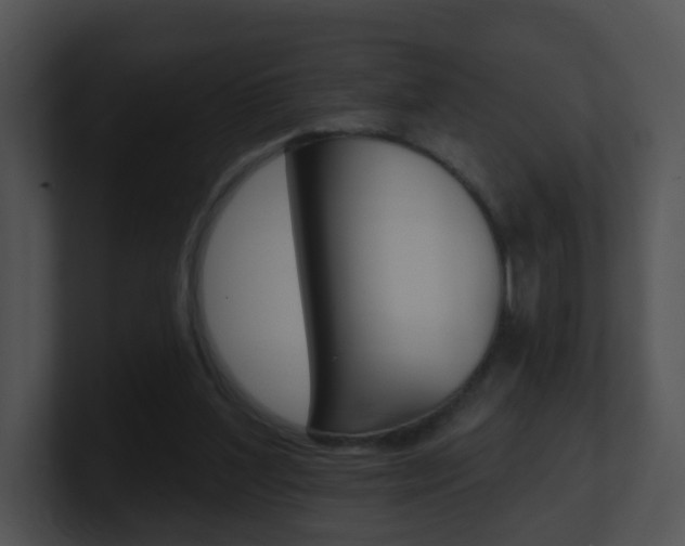 X0000100970204200806241211