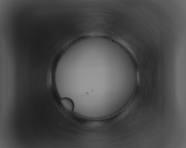 X0000100970205200806241211