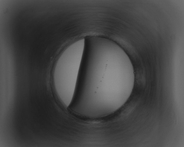 X0000100970208200806241211