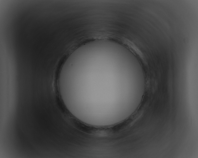 X0000100970209200806241211