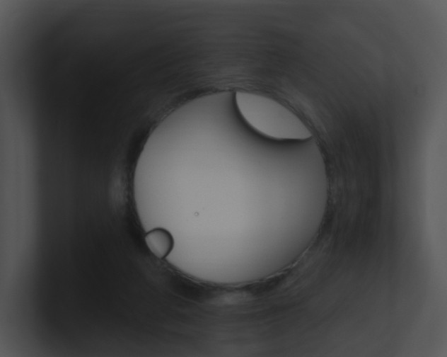 X0000100970210200806241211