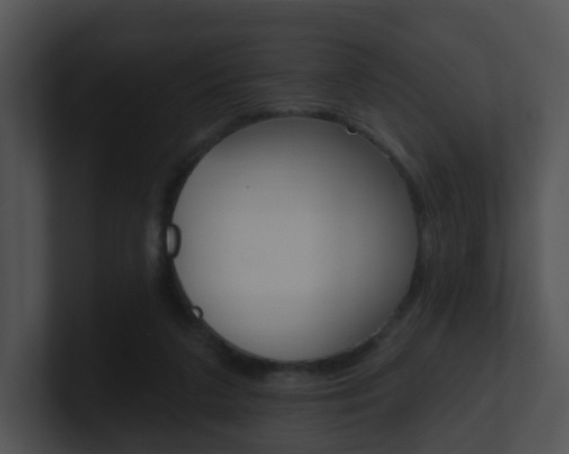 X0000100970211200806241211