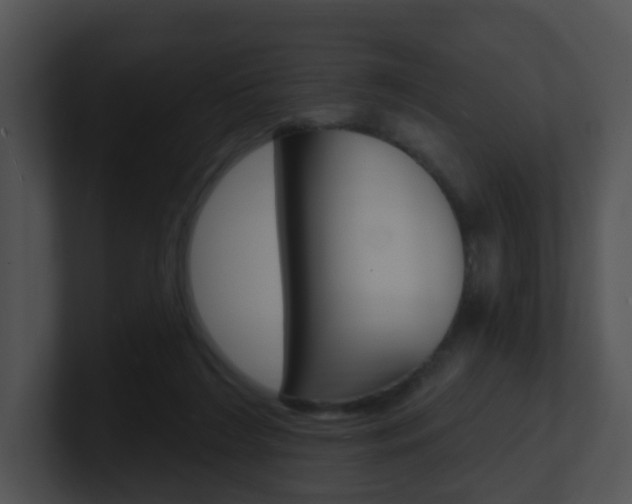 X0000100970212200806241211