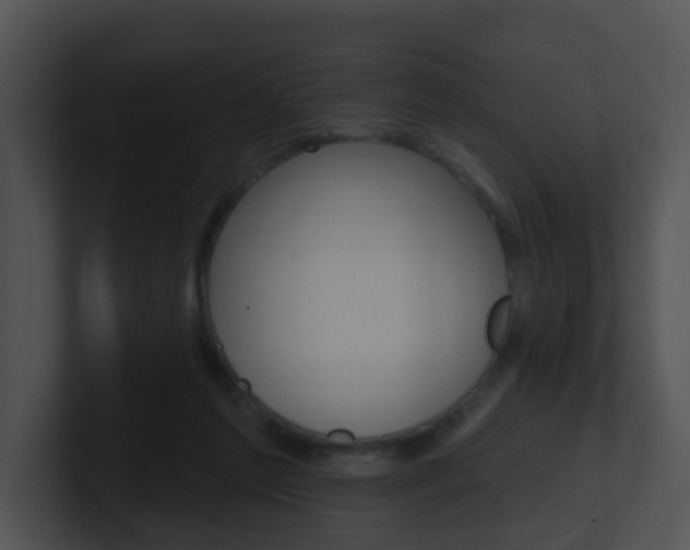 X0000100970213200806241211