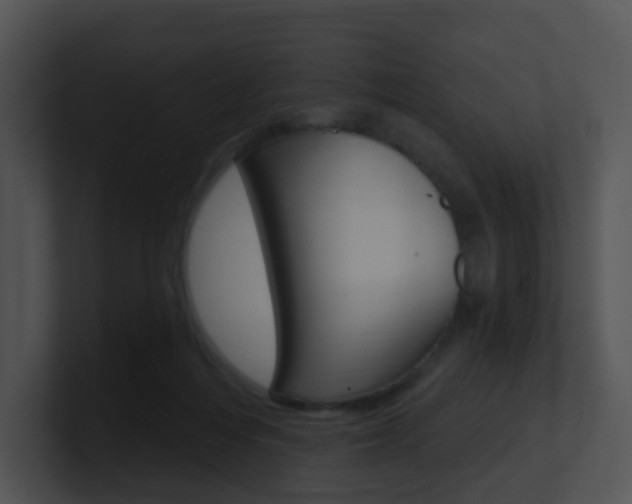 X0000100970216200806241211