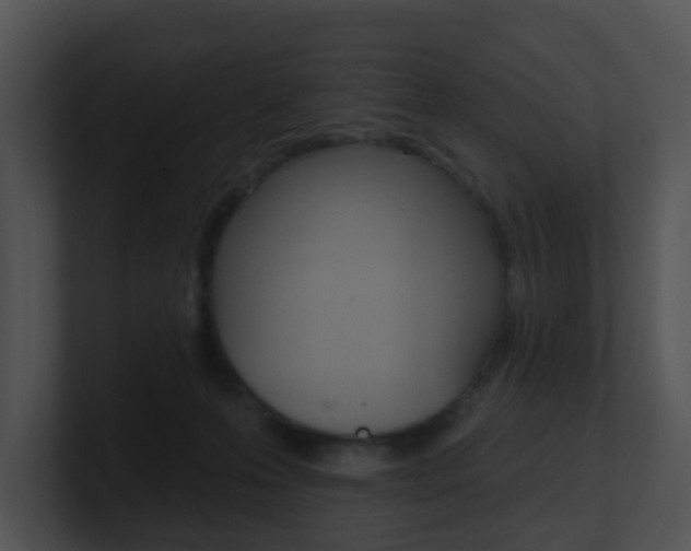 X0000100970223200806241211