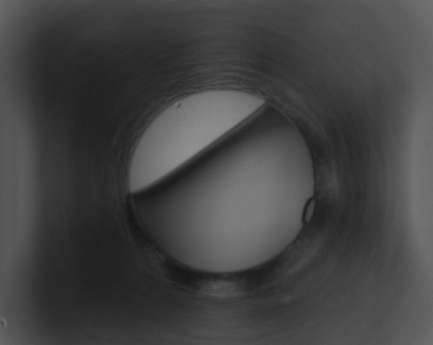 X0000100970224200806241211