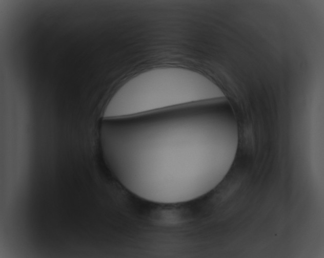 X0000100970228200806241210