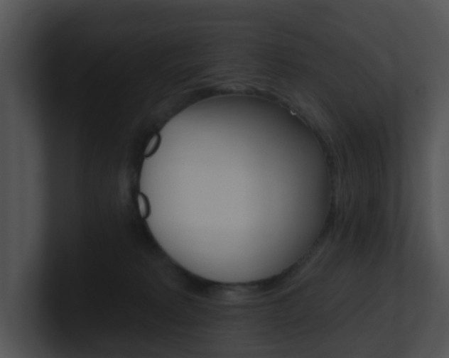 X0000100970229200806241210