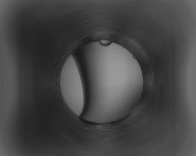 X0000100970232200806241210