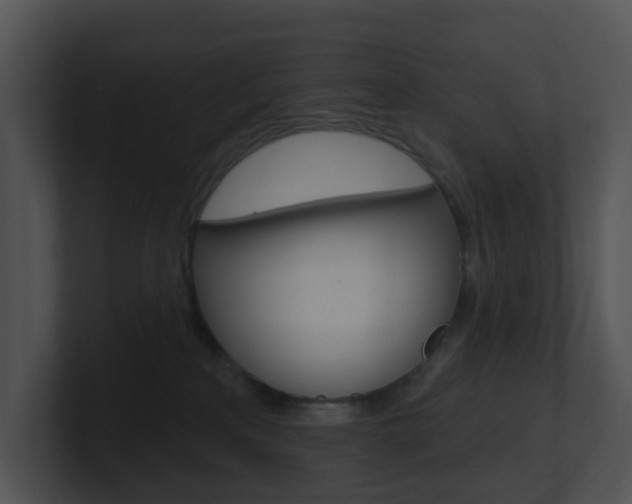 X0000100970233200806241210