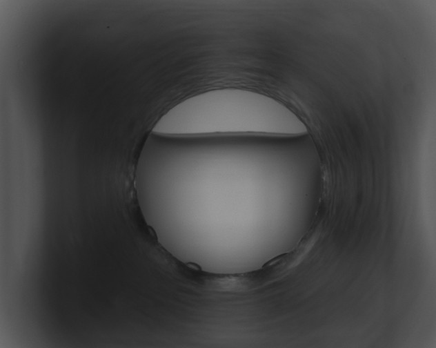 X0000100970237200806241210