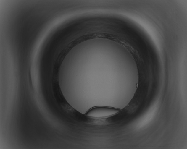 X0000100970239200806241210