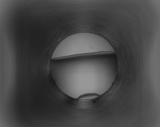 X0000100970240200806241210