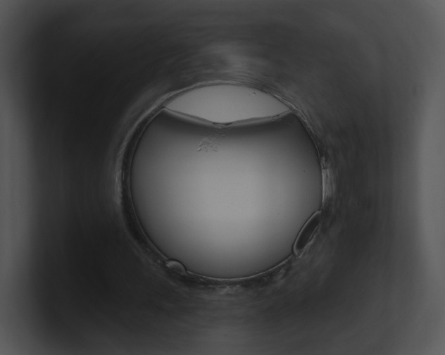 X0000100970243200806241210